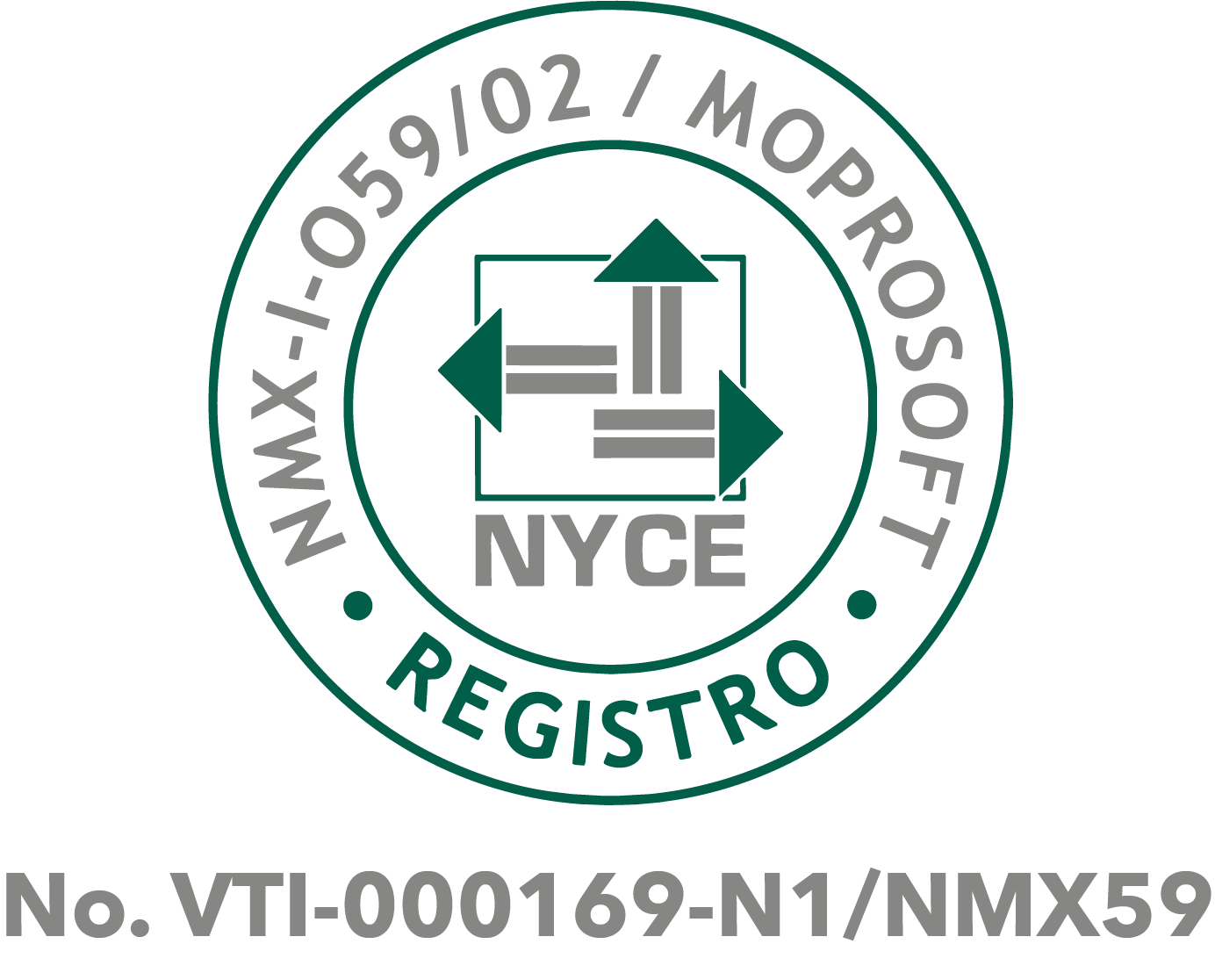 MOPROSOFT NYCE